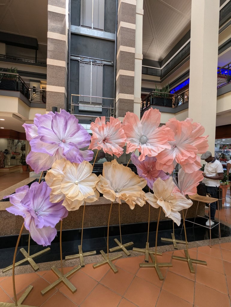 PXL_20250510_091100764