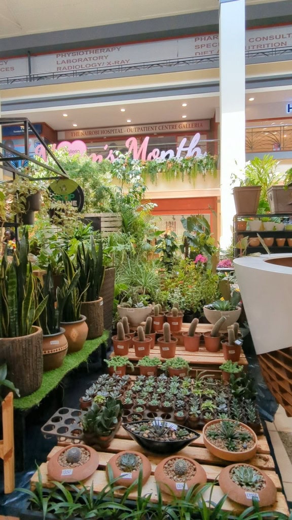 PXL_20250511_085550314.TS thumbnail 1