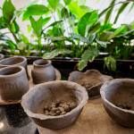 A collection of handmade clay bowls and vessels is arranged on a display board among green plants.