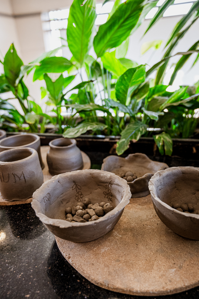 A collection of handmade clay bowls and vessels is arranged on a display board among green plants.