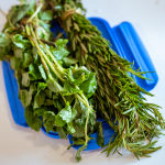 Fresh mint and rosemary arranged on a blue tray for drink preparation.