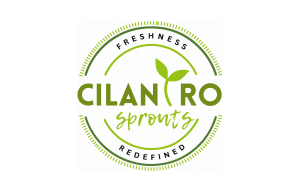 Cilantro Sprouts